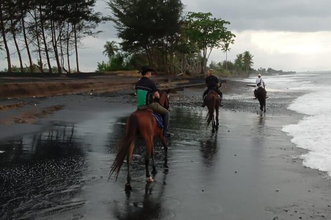 Bali Horse Riding Trot & Canter Saba Beach with Local Temple - Is $39 good value?