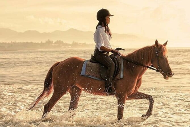 Bali Horse Riding, Waterfall, Rice Terrace, Lunch - All Inclusive - Five things to know before booking