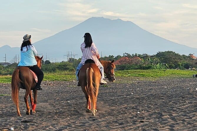 Bali Horse Riding, Waterfall, Rice Terrace, Lunch - All Inclusive - Why this Bali day tour works
