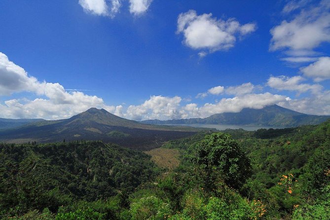 Bali Iconic Tour with Buffet Lunch and Attraction Tickets - Meeting macaques at Ubud Monkey Forest