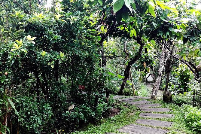 Bali in 1-Day : Rice Terrace, Volcano, Tanah lot - All Inclusive - Why this one-day route works from Seminyak