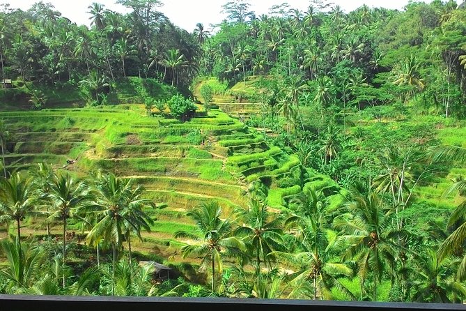 Bali in 1-Day : Rice Terrace, Volcano, Tanah lot - All Inclusive - Choose your craft village with care