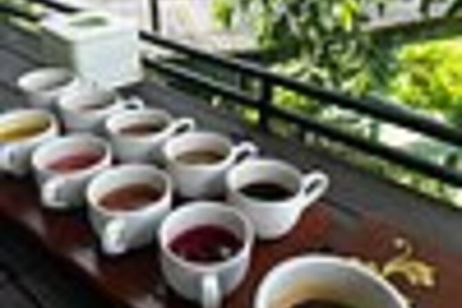 Bali in 1-Day : Rice Terrace, Volcano, Tanah lot - All Inclusive - Tegalalang Rice Terrace: Bali’s classic view