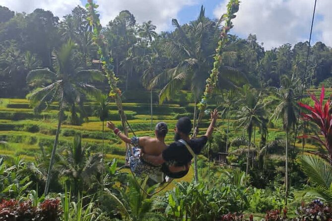 Bali in 1-Day : Rice Terrace, Volcano, Tanah lot - All Inclusive - Uma Pakel Agro Tourism and the coffee stop