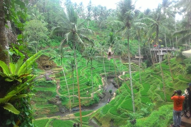 Bali in 1-Day : Rice Terrace, Volcano, Tanah lot - All Inclusive - Tanah Lot at sunset: the final payoff