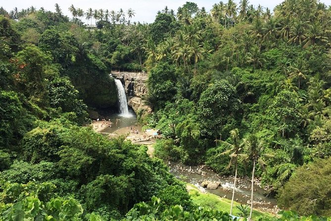 Bali Inclusive Tour: Best Waterfalls Around Ubud Area - Seeing the broad appeal of Tegenungan