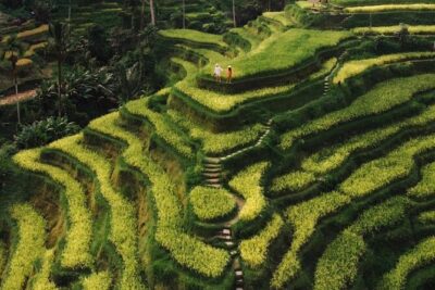 Bali Instagram Tour – All Inclusive