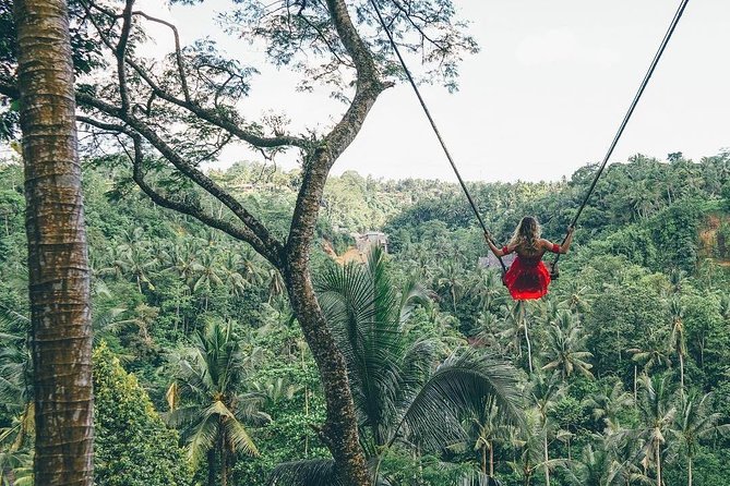Bali Instagram Tour from Your Hotel (Private & Full-day) - Tirta Gangga and the royal water gardens