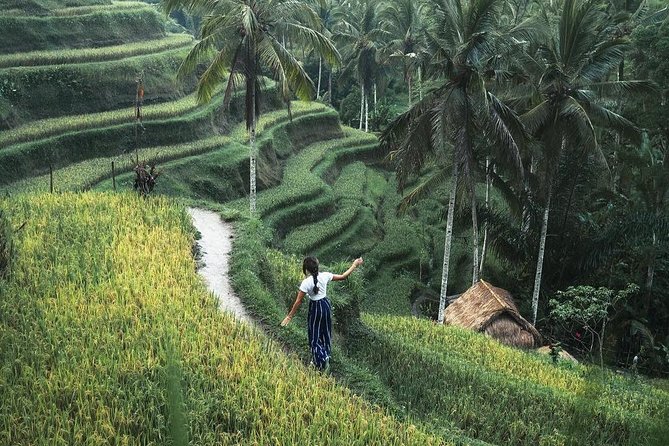 Bali Instagram Tour from Your Hotel (Private & Full-day) - Tukad Cepung and Kanto Lampo waterfalls