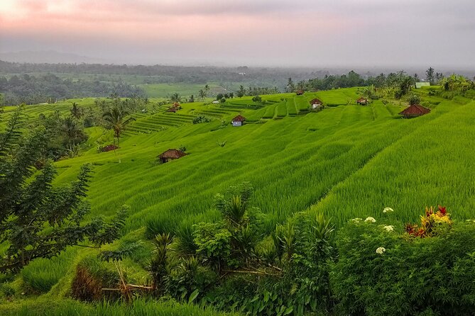 Bali Instagram Tour - Lempuyang Bali Gate of Heaven - The long drive and private transport