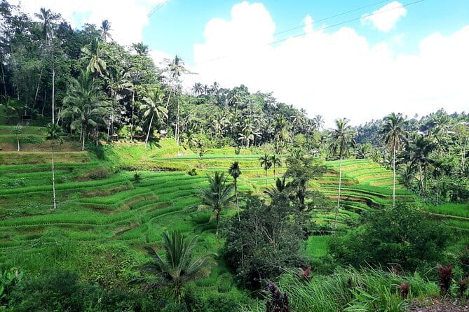 BALI INSTAGRAM TOURS; Heaven Gate, Tirta Gangga, Tukad Cepung waterfall - What $50 buys you