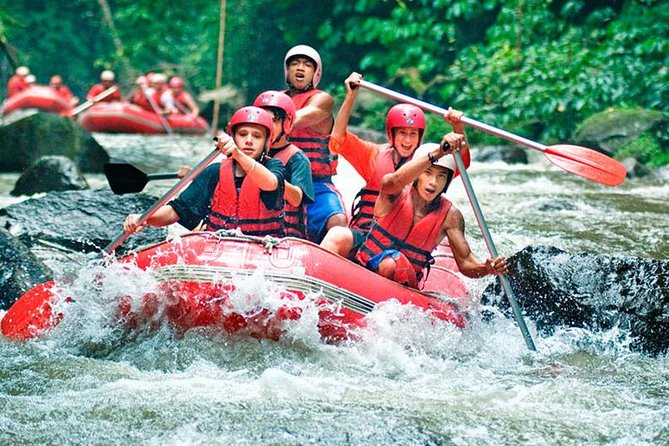 Bali Jungle Swing and White Water Rafting All Inclusive - One day, two very different Bali experiences