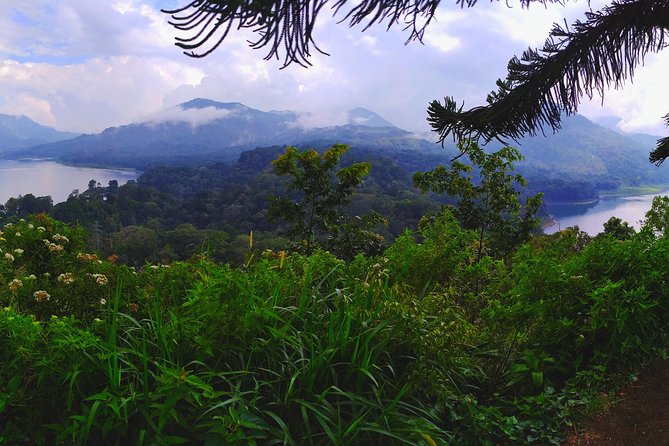 Bali Jungle Trekking and Lake Canoeing Tour - Why North Bali feels different