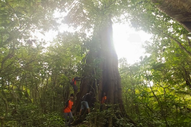 Bali Jungle Trekking and Lake Canoeing Tour - Lunch, coffee, and the local welcome