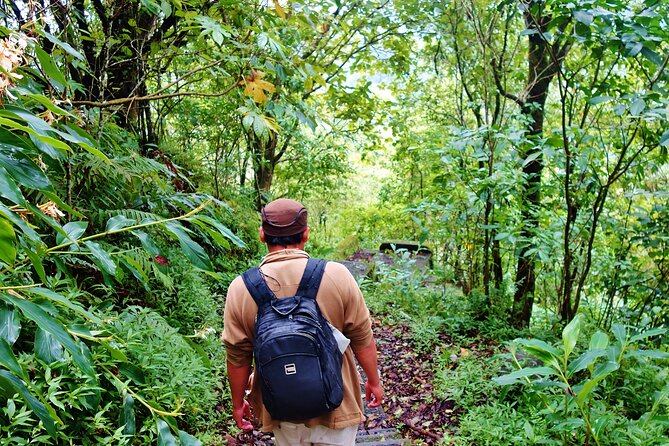 Bali Jungle Trekking in Beautiful Rainforest - Who should book this day trip?