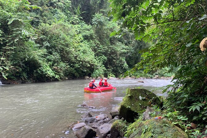 Bali Jungle White Water Rafting Adventure - Waterfalls, shrines, birds, and possible monkeys