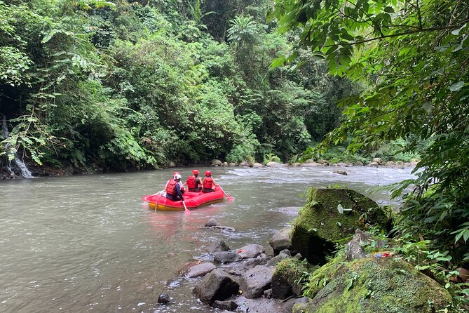 Bali Jungle White Water Rafting Adventure - Who will enjoy this Ayung River trip?
