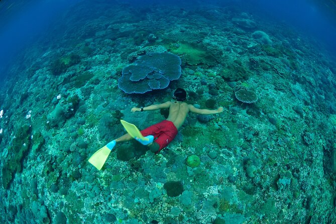 Bali Lembongan Island Beach Club Day Trip - Who will enjoy this day most?