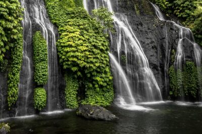 Bali Lovina Dolphin and North Bali Sightseeing – All Inclusive