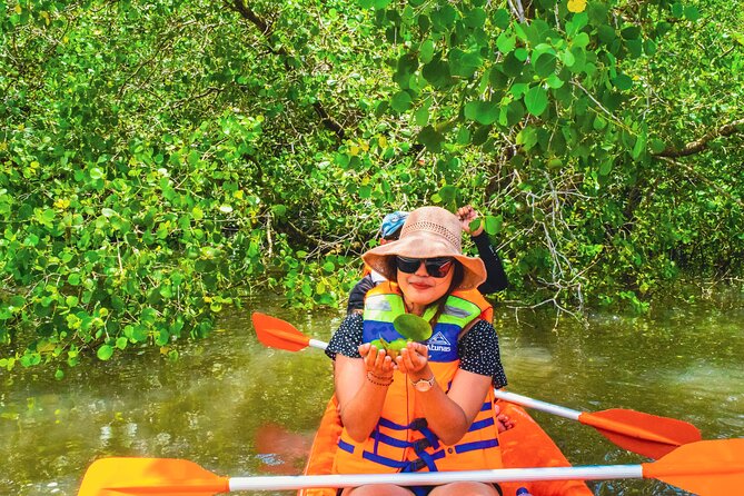 Bali Mangrove Canoeing Tour - Starting with hotel pickup and a practical briefing