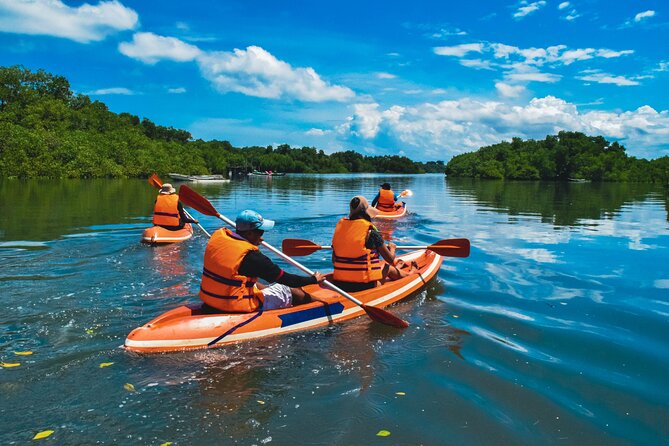 Bali Mangrove Canoeing Tour - Conservation that connects the tour to the community