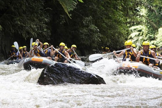 Bali Mason Adventure White Water Rafting - Lunch, showers, and the value of the $75 price