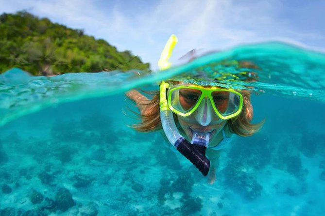 Bali Menjangan Island Snorkeling Day Tour - A 5:30 am start from Ubud or Kuta
