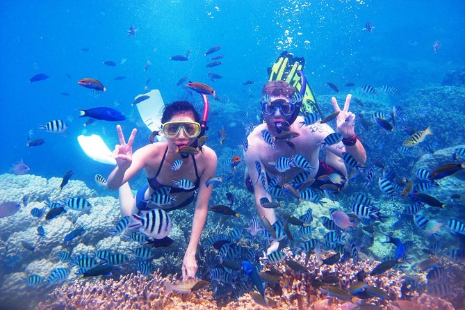 Bali Menjangan Island Snorkeling Day Tour - Stop 2: Reaching uninhabited Menjangan Island