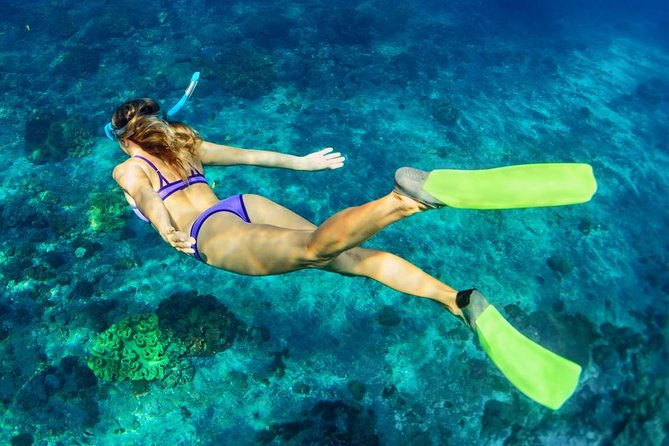 Bali Menjangan Island Snorkeling Day Tour - What the small group changes