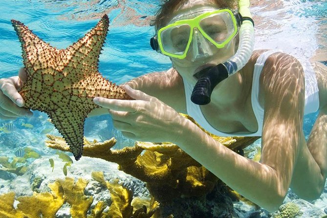 Bali Menjangan Island Snorkeling Day Tour - Is $132 a fair price?