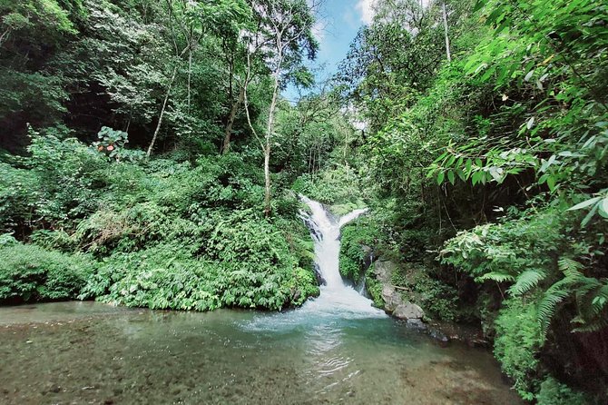 Bali Most Scenic Waterfalls Trekking - Why this waterfall trek is different