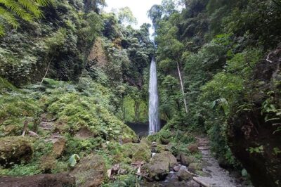 Bali Most Scenic Waterfalls Trekking