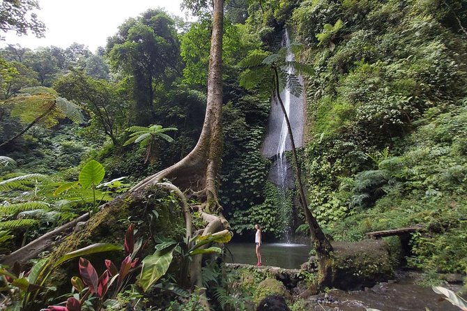 Bali Most Scenic Waterfalls Trekking - The value of the $35 price
