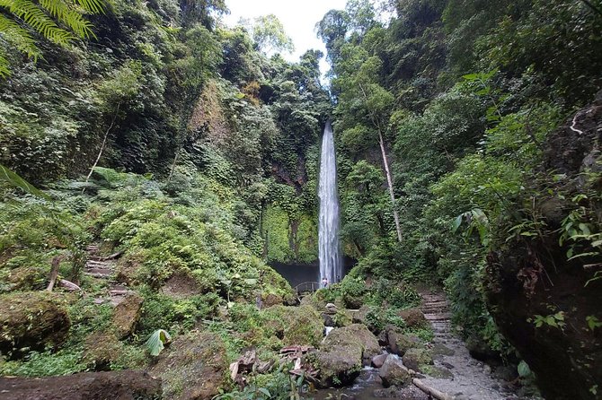 Bali Most Scenic Waterfalls Trekking - Starting from your hotel and heading north