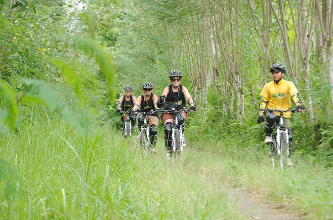Bali Mountains and Villages Cycling Tour - Bayung Gede Kintamani: fitting the bike and starting high