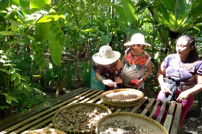 Bali Night Market Experience and Ubud Highlights tour - The value of a $45.50 private tour