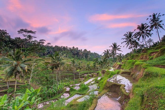 Bali : Northern Bali Private Day Trip with Transfer - Ulun Danu Beratan beside the lake