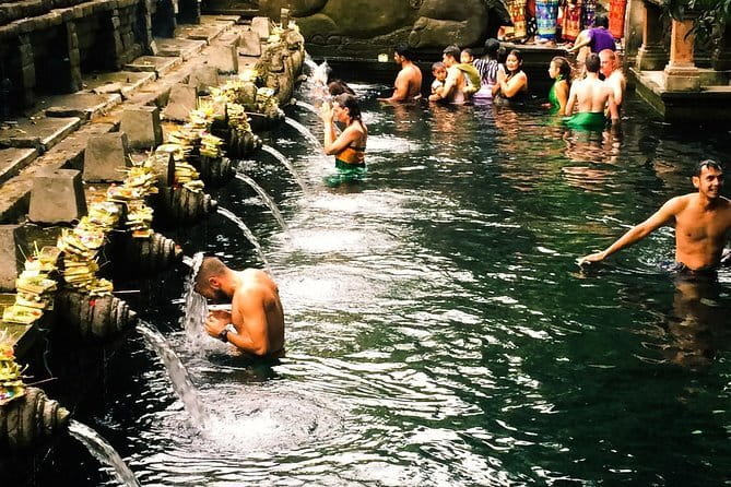 Bali : Northern Bali Private Day Trip with Transfer - The private vehicle and guide experience