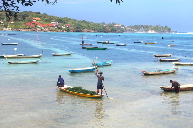Bali Nusa Lembongan Islands Private Tour - All Inclusive - Why Nusa Lembongan works as a day trip