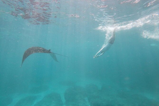 Bali Nusa Penida and Private Snorkeling (Manta Bay, Gamat, Wall) - Why the 6:30 am start matters