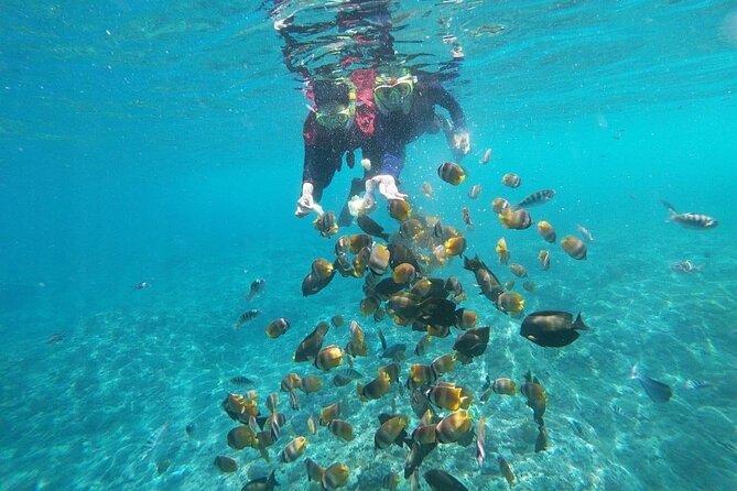 Bali Nusa Penida and Private Snorkeling (Manta Bay, Gamat, Wall) - Angel’s Billabong and Broken Beach