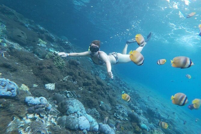 Bali Nusa Penida and Private Snorkeling (Manta Bay, Gamat, Wall) - Wall Bay Point and the final water stop