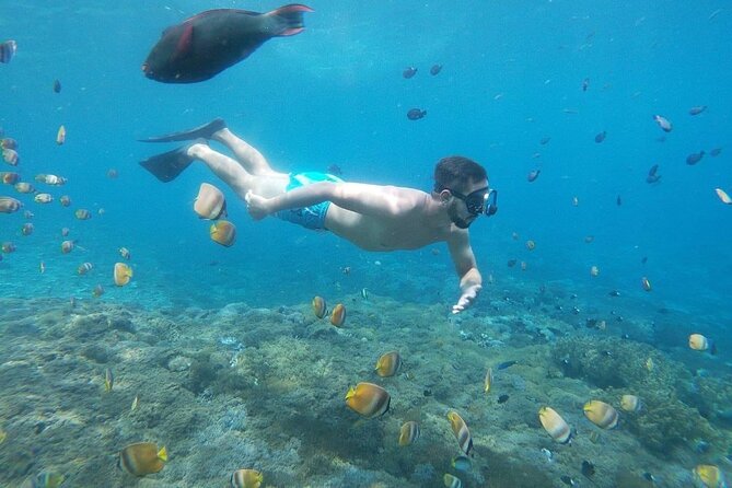Bali Nusa Penida and Private Snorkeling (Manta Bay, Gamat, Wall) - How the private guiding works