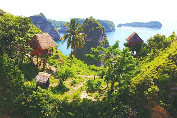 Bali-Nusa Penida. East Part. Private car. All-inclusive - The Molenteng Tree House photo stop