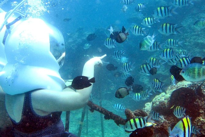 Bali Ocean Walker - What Bali Ocean Walker actually feels like