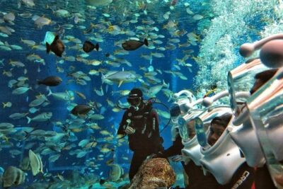 Bali Ocean Walker