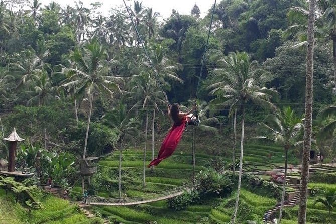 Bali Private 3 Days Tour Package Highlight - Who should book this three-day package?