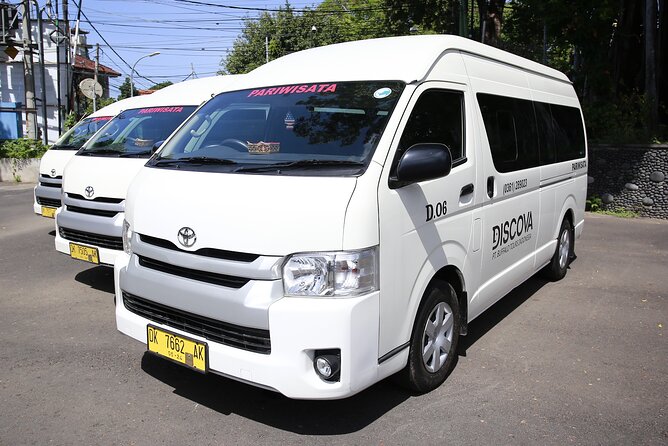 Bali Private Arrival Transfer: From Bali Airport to Bali Hotel - Who Will Like This Transfer Most?