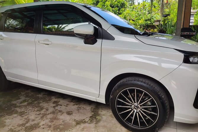 Bali Private Car and Customize Tour With English Speaking Driver - Ulun Danu Bratan and the limits of the route