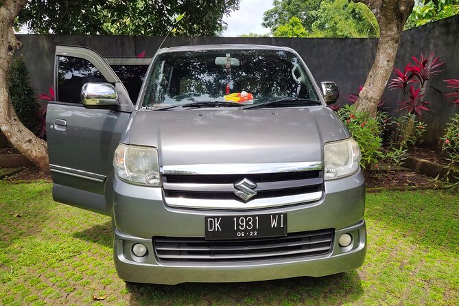 Bali Private Car and Customize Tour With English Speaking Driver - Who should book this tour?